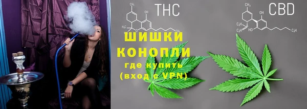 прущие крисы Гусь-Хрустальный
