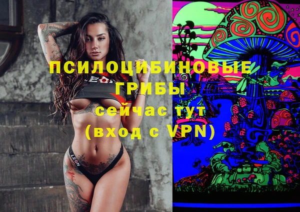 не бодяженный Гусиноозёрск