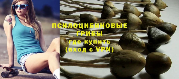 не бодяженный Гусиноозёрск