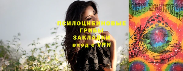 каннабис Гусев