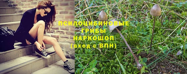 не бодяженный Гусиноозёрск