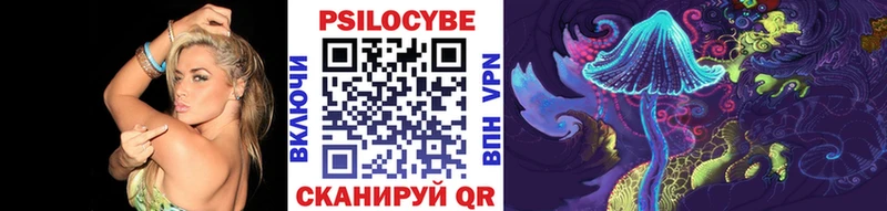 Псилоцибиновые грибы Psilocybine cubensis  Урус-Мартан 
