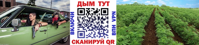 Бошки марихуана VHQ  что такое наркотик  Урус-Мартан 